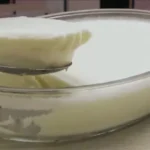 Maria Mole's Iced Dessert