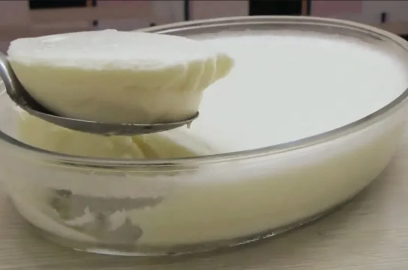 Maria Mole's Iced Dessert