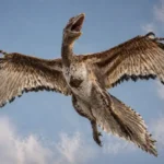 Why Birds Are the Only Surviving Dinosaurs