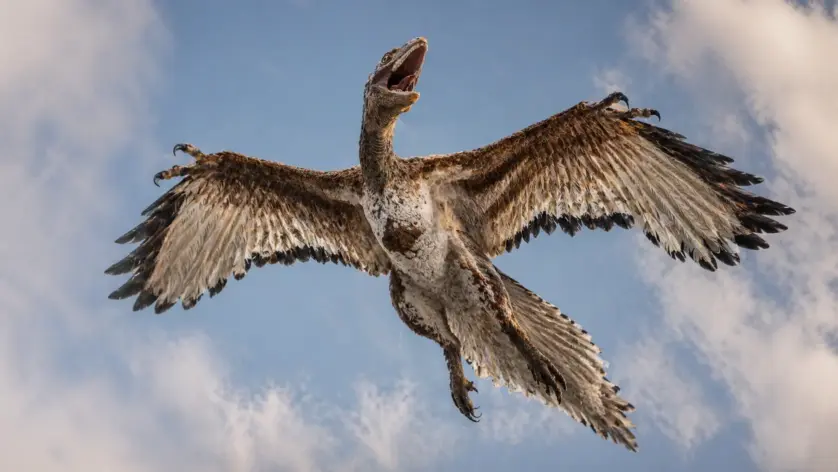 Why Birds Are the Only Surviving Dinosaurs