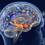 10 Fascinating Facts About the Human Memory