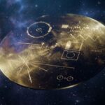 The Golden Whisper